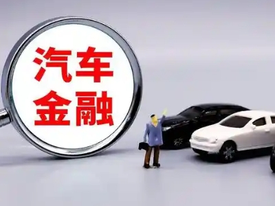 新干押车贷款不是本人可以么?